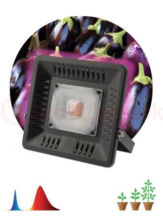 Прожектор ссветодиодный для выращивания растений  FITO-50W-LED BLUERED ЭРА