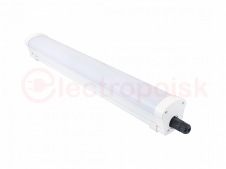 Diora LPO/LSP SE 50/5300 Mini-12 opal 3K T